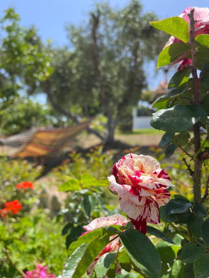Вілла Antigone'S Garden Halikounas Екстер'єр фото