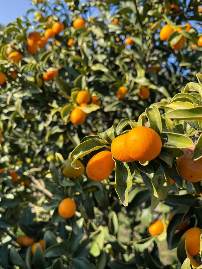Вілла Antigone'S Garden Halikounas Екстер'єр фото